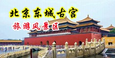 操爽爽中国北京-东城古宫旅游风景区